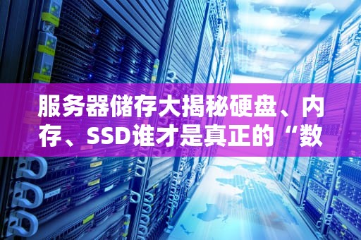 服务器储存大揭秘硬盘、内存、SSD谁才是真正的“数据仓库”？