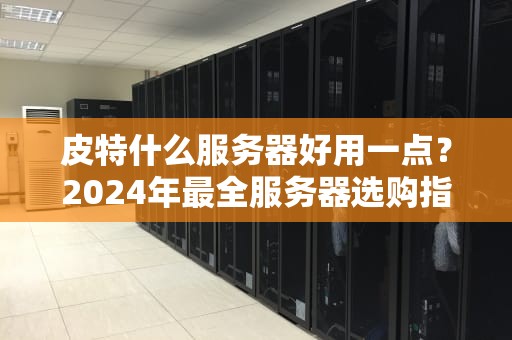 皮特什么服务器好用一点？2024年最全服务器选购指南（附避坑彩蛋）