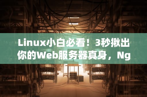 Linux小白必看！3秒揪出你的Web服务器真身，Nginx还是Apache？