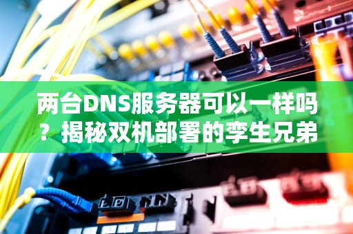 两台DNS服务器可以一样吗？揭秘双机部署的孪生兄弟玄学