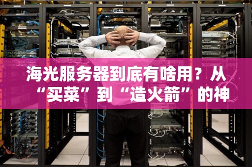 海光服务器到底有啥用？从“买菜”到“造火箭”的神奇之旅！