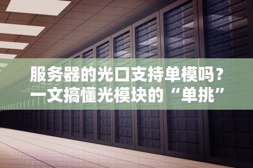 服务器的光口支持单模吗？一文搞懂光模块的“单挑”与“群殴”