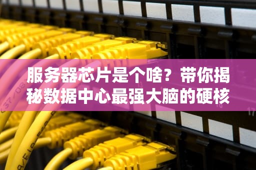 服务器芯片是个啥？带你揭秘数据中心最强大脑的硬核日常！