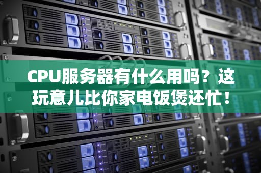 CPU服务器有什么用吗？这玩意儿比你家电饭煲还忙！