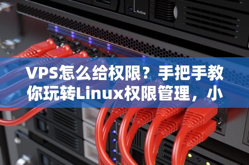 VPS怎么给权限？手把手教你玩转Linux权限管理，小白也能变大神！