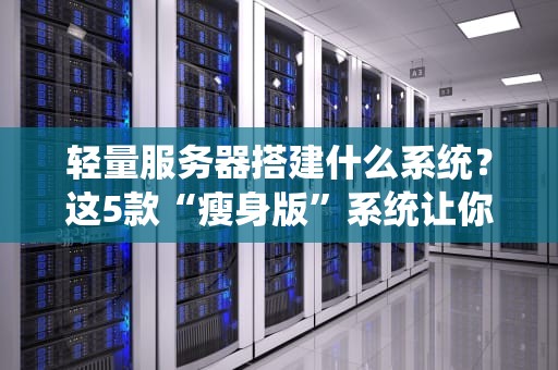 轻量服务器搭建什么系统？这5款“瘦身版”系统让你秒变老司机！