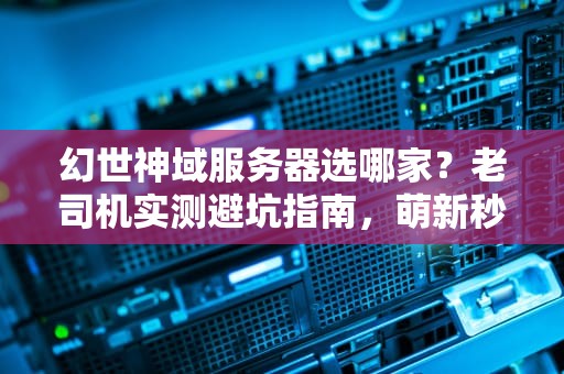 幻世神域服务器选哪家？老司机实测避坑指南，萌新秒变高玩！