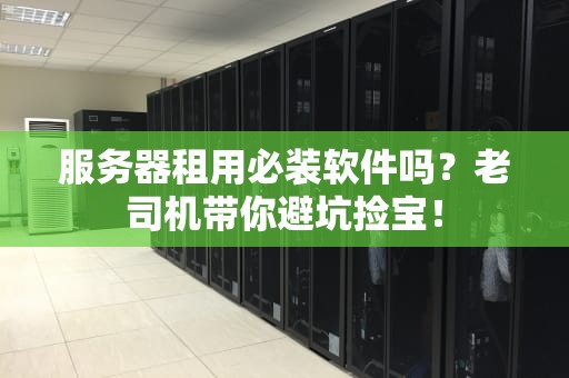 服务器租用必装软件吗？老司机带你避坑捡宝！