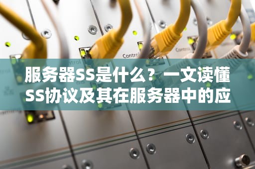 服务器SS是什么？一文读懂SS协议及其在服务器中的应用（附超实用测评）