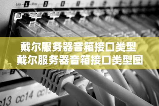 戴尔服务器音箱接口类型 戴尔服务器音箱接口类型图解