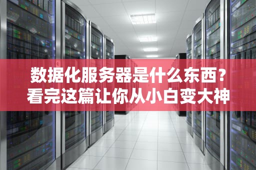 数据化服务器是什么东西？看完这篇让你从小白变大神！