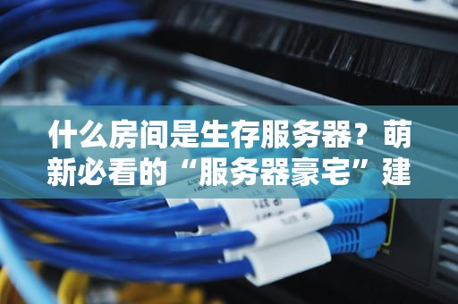 什么房间是生存服务器？萌新必看的“服务器豪宅”建造指南！