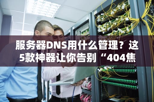 服务器DNS用什么管理？这5款神器让你告别“404焦虑症”！
