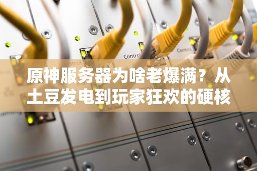 原神服务器为啥老爆满？从土豆发电到玩家狂欢的硬核真相！