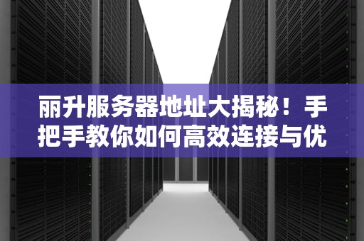 丽升服务器地址大揭秘！手把手教你如何高效连接与优化