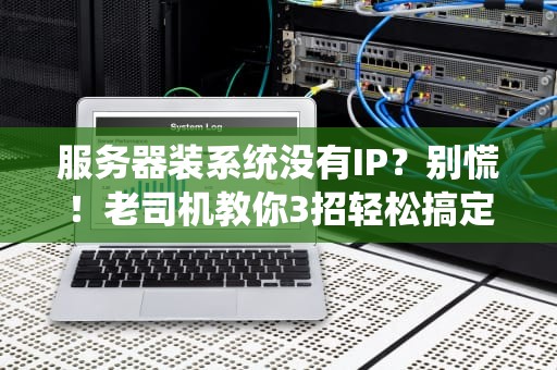 服务器装系统没有IP？别慌！老司机教你3招轻松搞定