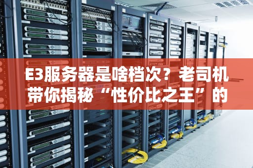 E3服务器是啥档次？老司机带你揭秘“性价比之王”的真相！