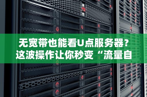 无宽带也能看U点服务器？这波操作让你秒变“流量自由人”！