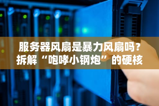 服务器风扇是暴力风扇吗？拆解“咆哮小钢炮”的硬核真相！
