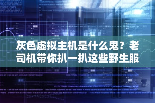 灰色虚拟主机是什么鬼？老司机带你扒一扒这些野生服务器的底裤！