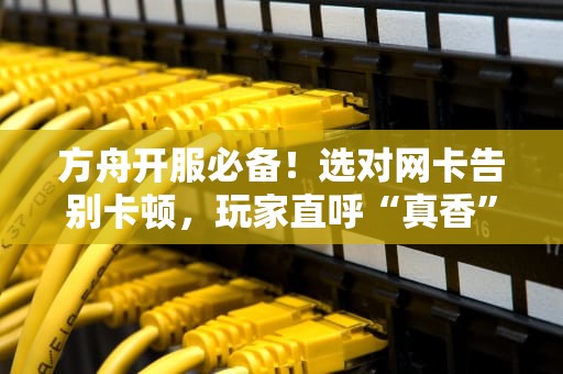 方舟开服必备！选对网卡告别卡顿，玩家直呼“真香”