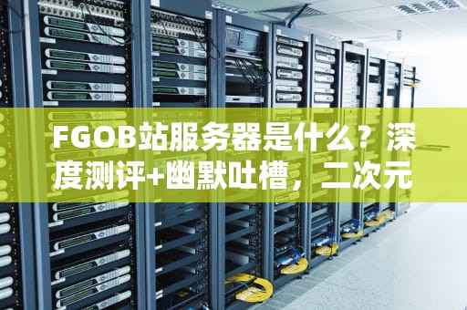 FGOB站服务器是什么？深度测评+幽默吐槽，二次元御主必看！