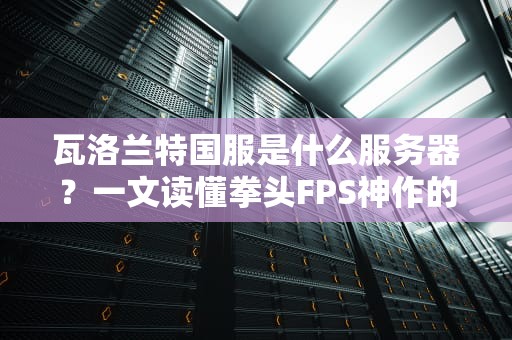 瓦洛兰特国服是什么服务器？一文读懂拳头FPS神作的国内“新家”