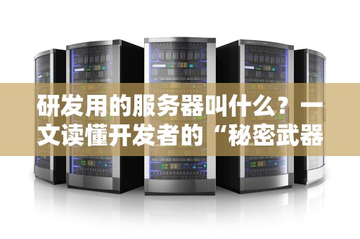 研发用的服务器叫什么？一文读懂开发者的“秘密武器”！