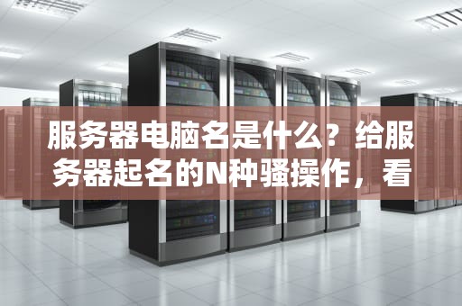服务器电脑名是什么？给服务器起名的N种骚操作，看完笑出腹肌！