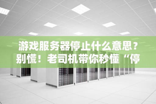 游戏服务器停止什么意思？别慌！老司机带你秒懂“停服”那些事儿