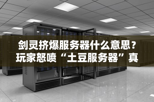 剑灵挤爆服务器什么意思？玩家怒喷“土豆服务器”真相大揭秘！