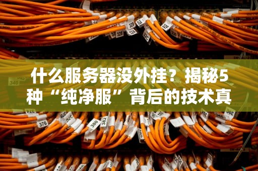 什么服务器没外挂？揭秘5种“纯净服”背后的技术真相！