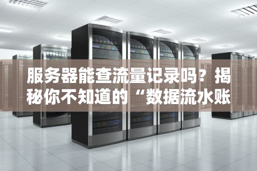 服务器能查流量记录吗？揭秘你不知道的“数据流水账”！（附实操指南）