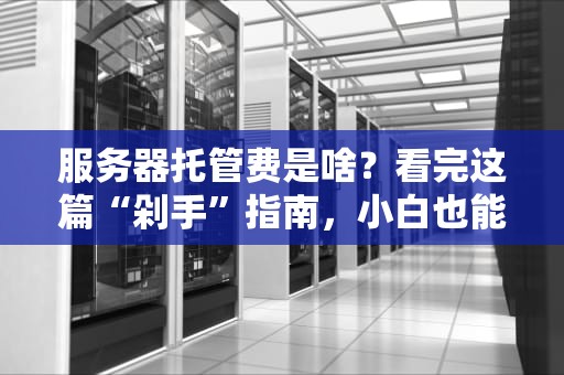 服务器托管费是啥？看完这篇“剁手”指南，小白也能变专家！