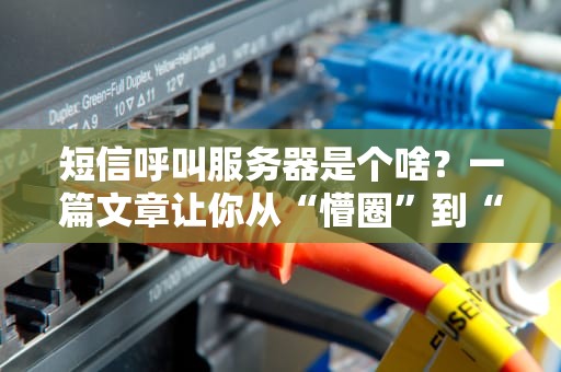 短信呼叫服务器是个啥？一篇文章让你从“懵圈”到“真香”！