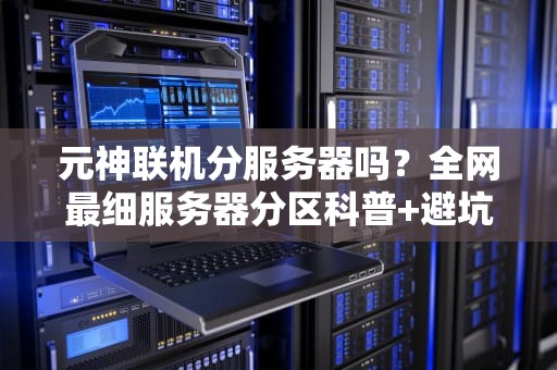 元神联机分服务器吗？全网最细服务器分区科普+避坑指南！