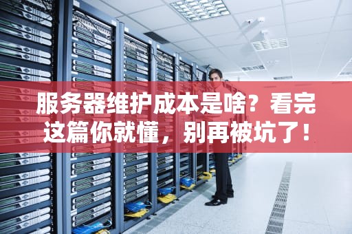 服务器维护成本是啥？看完这篇你就懂，别再被坑了！