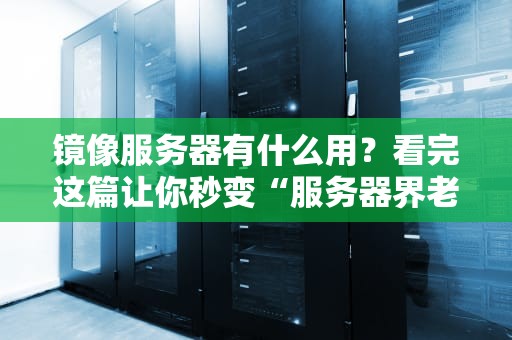 镜像服务器有什么用？看完这篇让你秒变“服务器界老司机”！