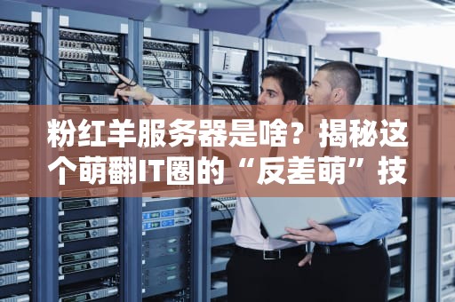 粉红羊服务器是啥？揭秘这个萌翻IT圈的“反差萌”技术梗！