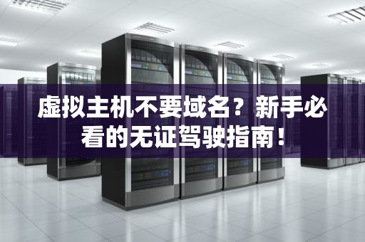 虚拟主机不要域名？新手必看的无证驾驶指南！