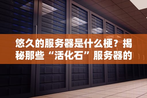 悠久的服务器是什么梗？揭秘那些“活化石”服务器的爆笑日常！