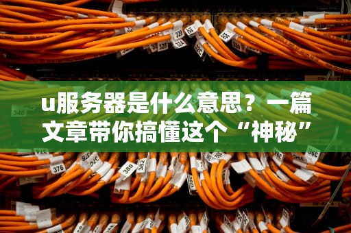 u服务器是什么意思？一篇文章带你搞懂这个“神秘”的小机箱！