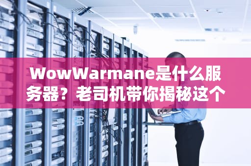 WowWarmane是什么服务器？老司机带你揭秘这个魔兽私服的魅力与槽点！