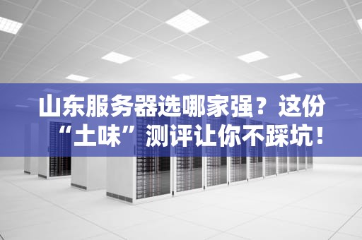 山东服务器选哪家强？这份“土味”测评让你不踩坑！