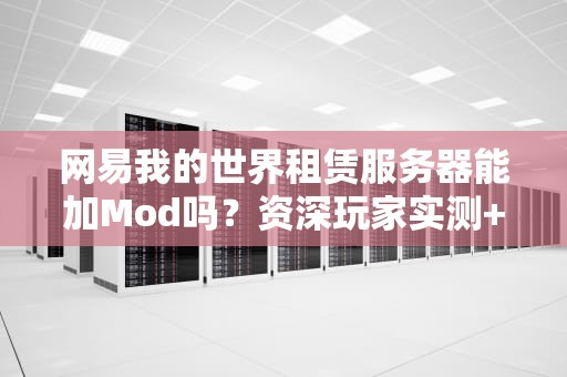 网易我的世界租赁服务器能加Mod吗？资深玩家实测+避坑指南！