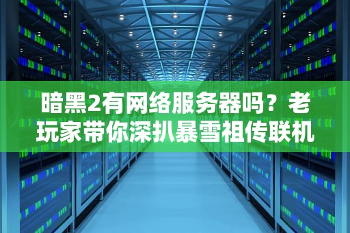 暗黑2有网络服务器吗？老玩家带你深扒暴雪祖传联机秘史！