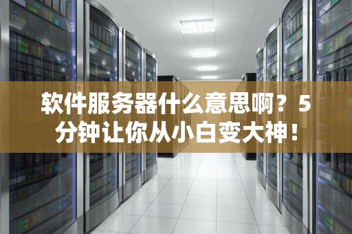 软件服务器什么意思啊？5分钟让你从小白变大神！