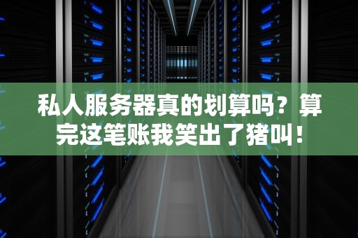私人服务器真的划算吗？算完这笔账我笑出了猪叫！