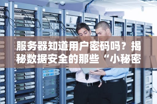 服务器知道用户密码吗？揭秘数据安全的那些“小秘密”