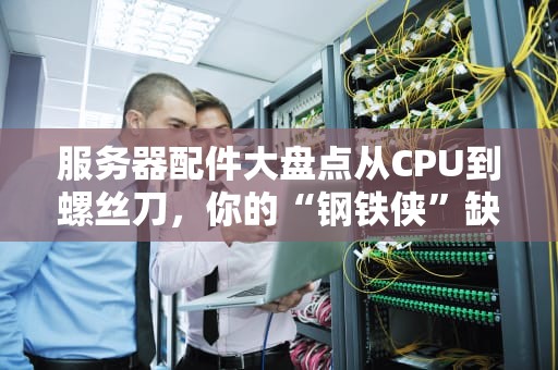 服务器配件大盘点从CPU到螺丝刀，你的“钢铁侠”缺了啥？